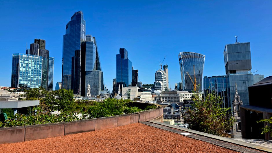 A detailed, long-range view of the historic dome of St. Paul's Cathedral, situated behind a modern rooftop terrace in central London. The foreground features a landscaped garden with well-maintained g